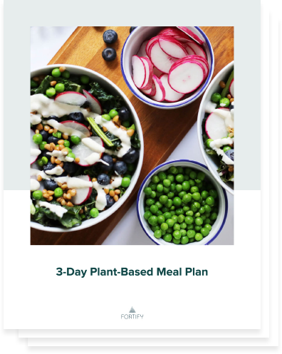 Fortify 3 day meal plan